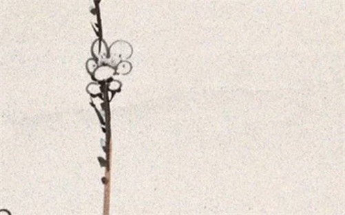 2023年3月19日修建房屋开工动土好吗,二月二十八当天吉时查询