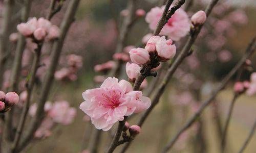 门面前面宽后面小风水好不好