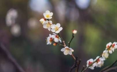 家中风水禁忌 家里要注意什么风水问题